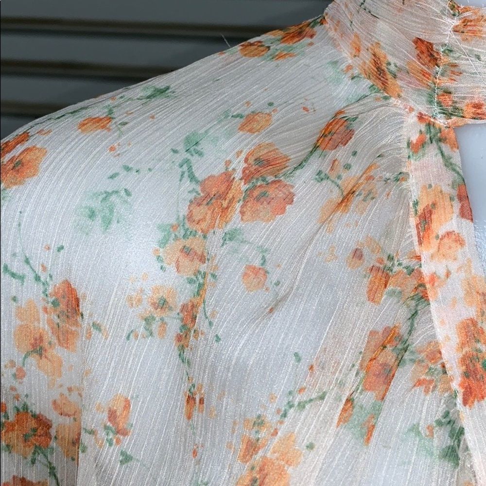 Zara Basic Collection size medium sheer floral top - image 5